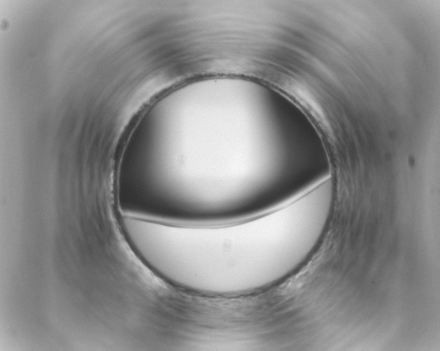 X0000089410992200706150935