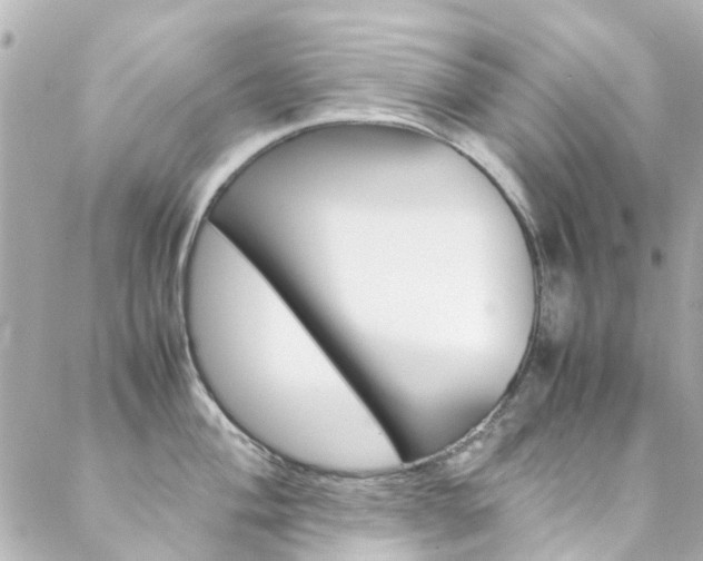 X0000089411004200706150935