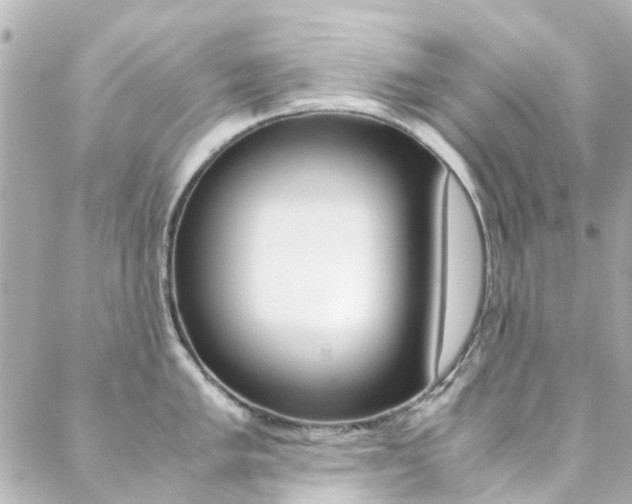X0000089411005200706150935
