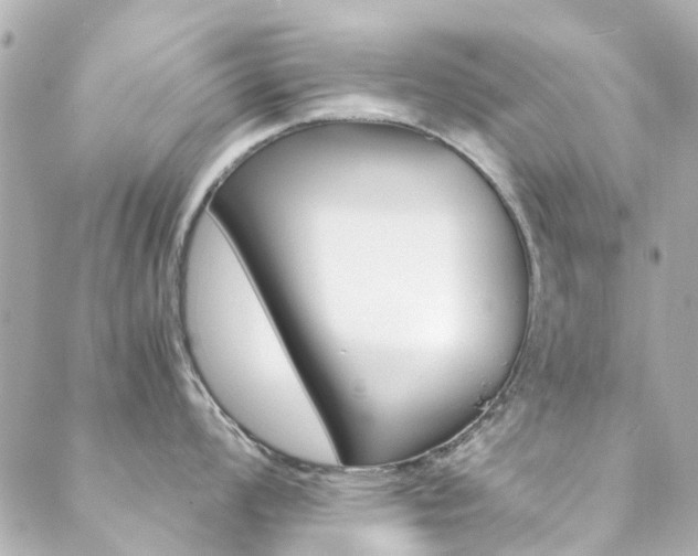 X0000089411008200706150935