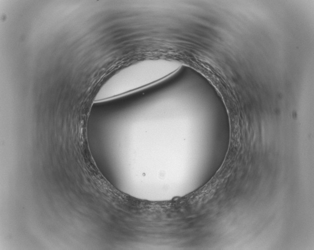 X0000089411013200706150934
