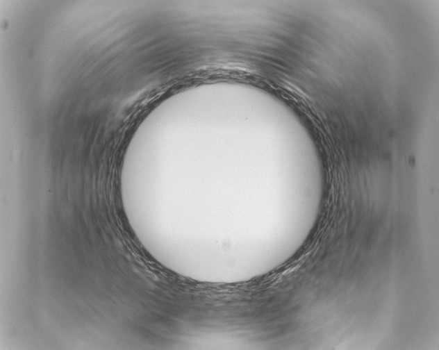 X0000089411014200706150934