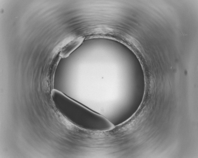 X0000089411018200706150934