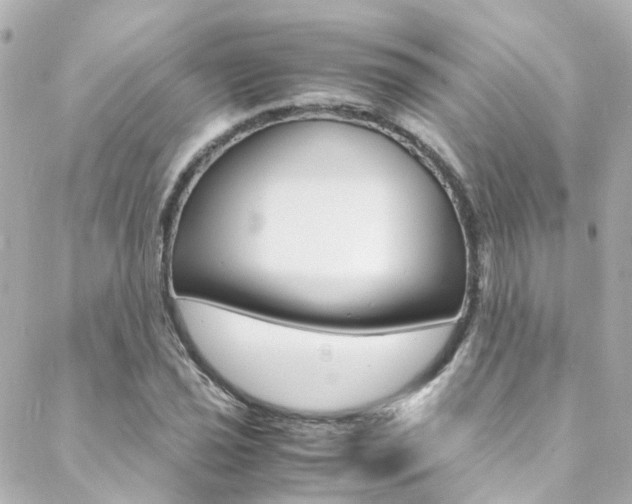 X0000089411021200706150934