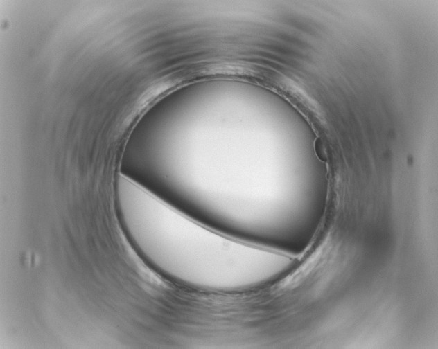X0000089411033200706150934
