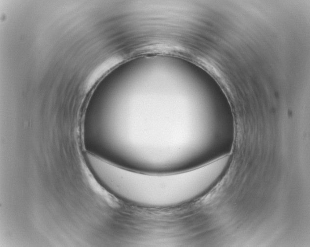 X0000089411042200706150934