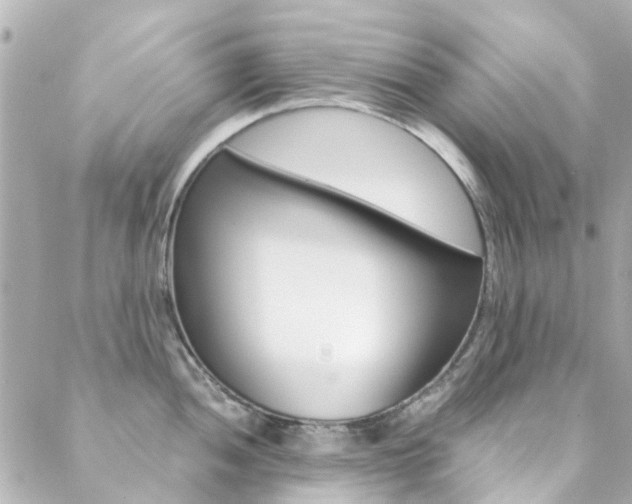 X0000089411052200706150935