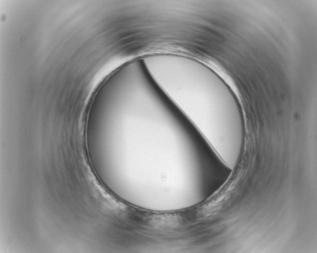 X0000089411053200706150935