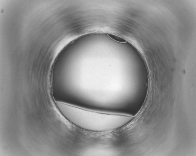 X0000089411056200706150935