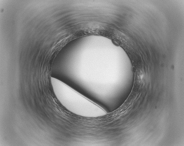 X0000089411060200706150934