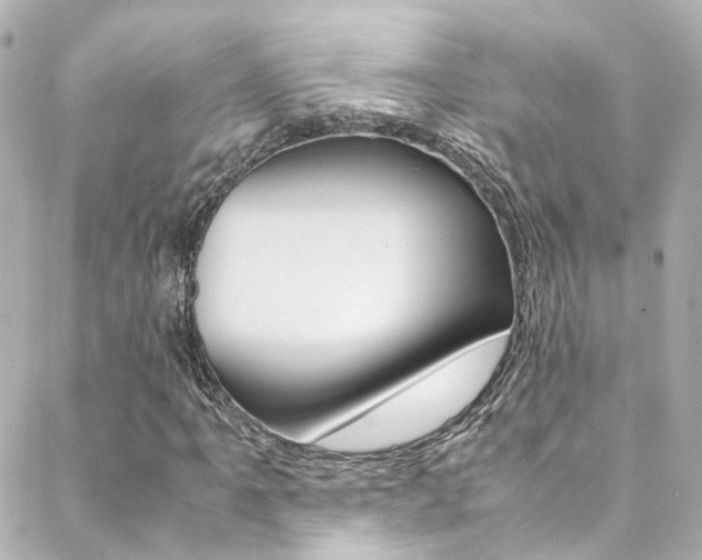 X0000089411061200706150934