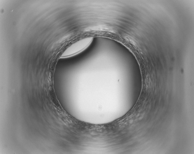 X0000089411062200706150934
