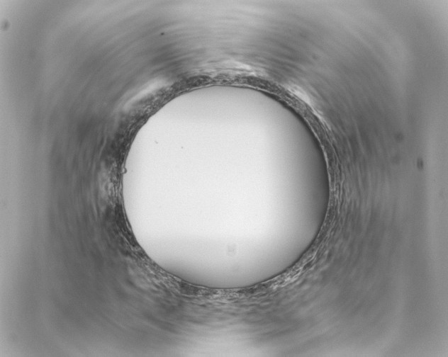 X0000089411063200706150934