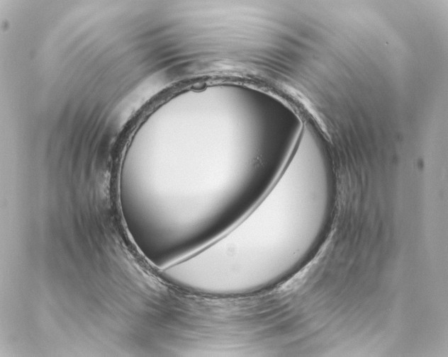 X0000089411066200706150934