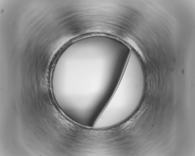 X0000089411068200706150934