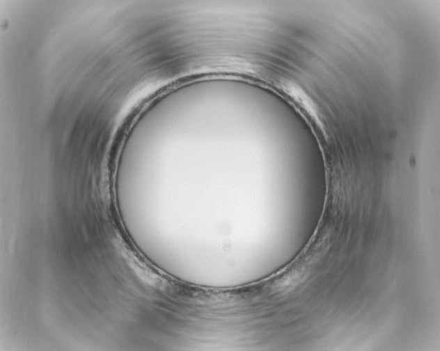 X0000089411072200706150934