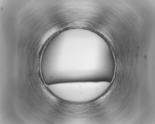 X0000089411075200706150934
