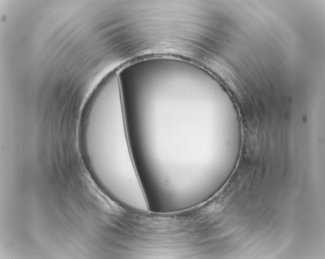 X0000089411076200706150934