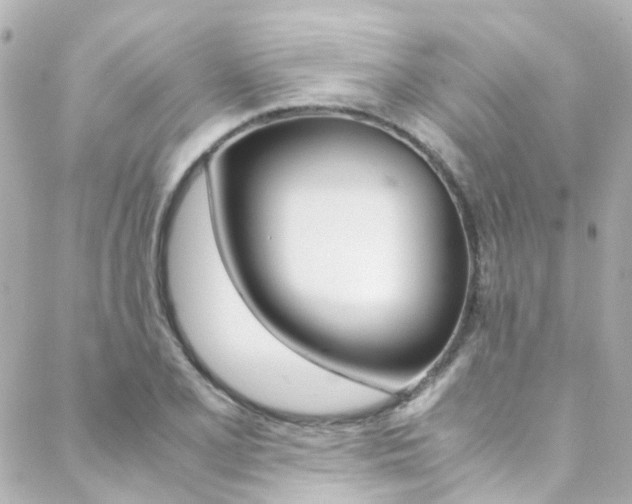 X0000089411077200706150933