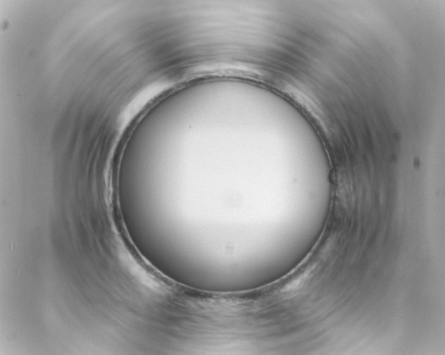 X0000089411082200706150933