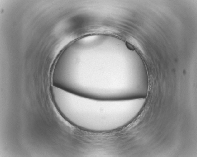 X0000089411087200706150933