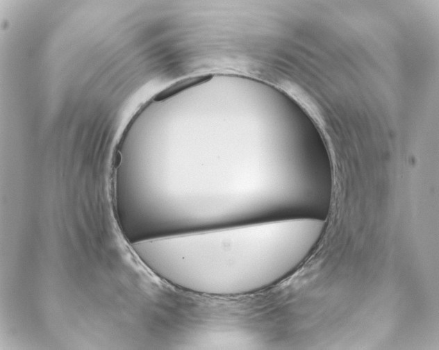 X0000089411104200706150933