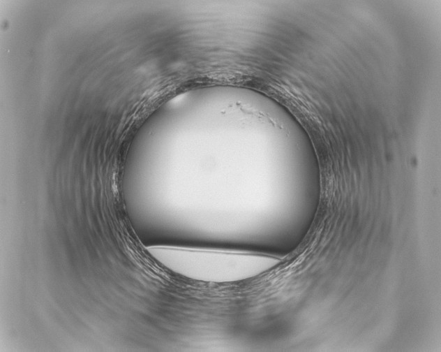 X0000089411106200706150932