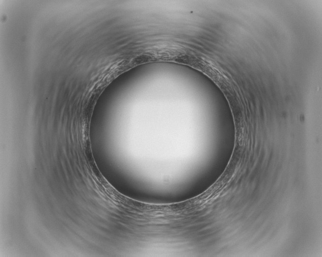 X0000089411108200706150932