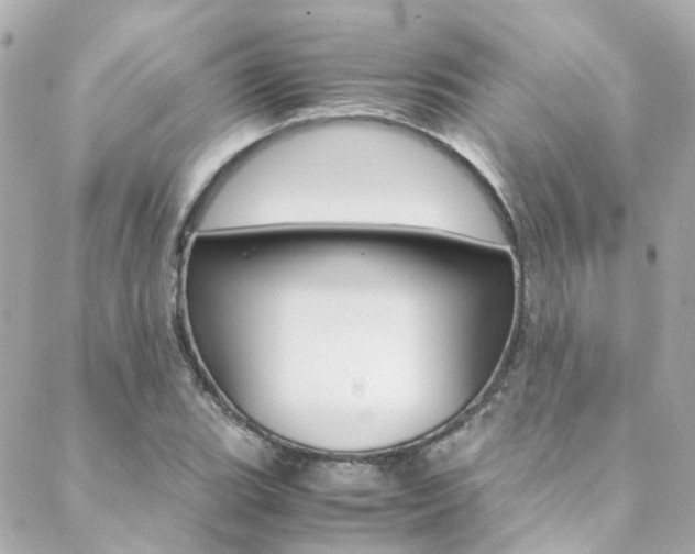 X0000089411119200706150933