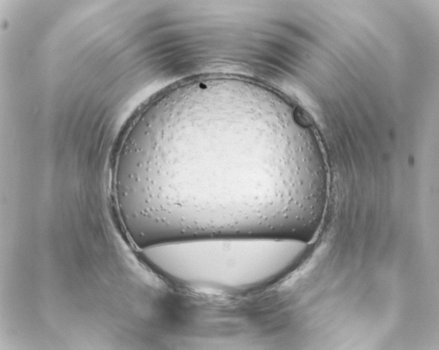 X0000089411125200706150933
