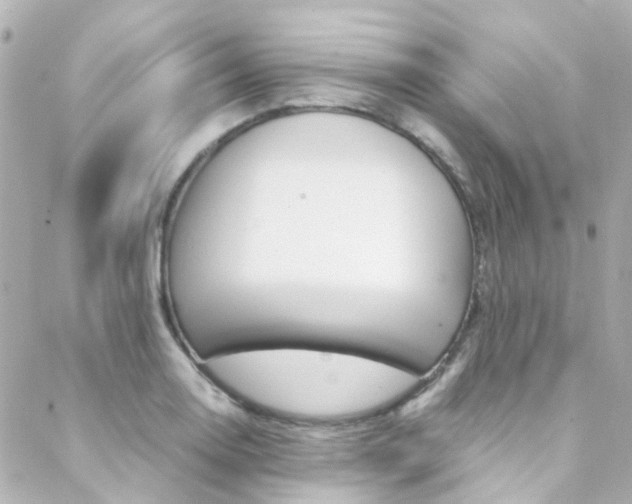 X0000089411130200706150933