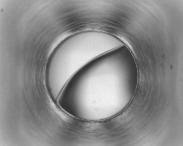 X0000089411131200706150933