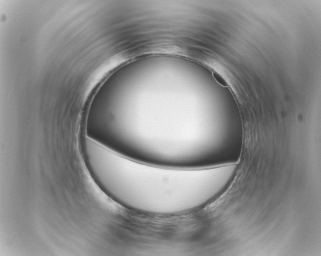 X0000089411139200706150933