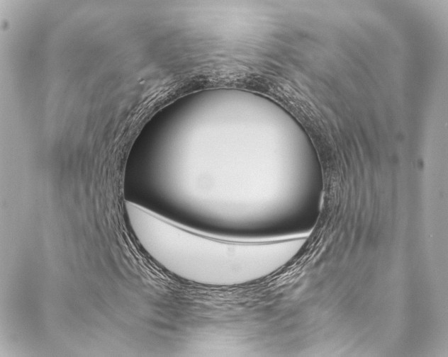 X0000089411153200706150932