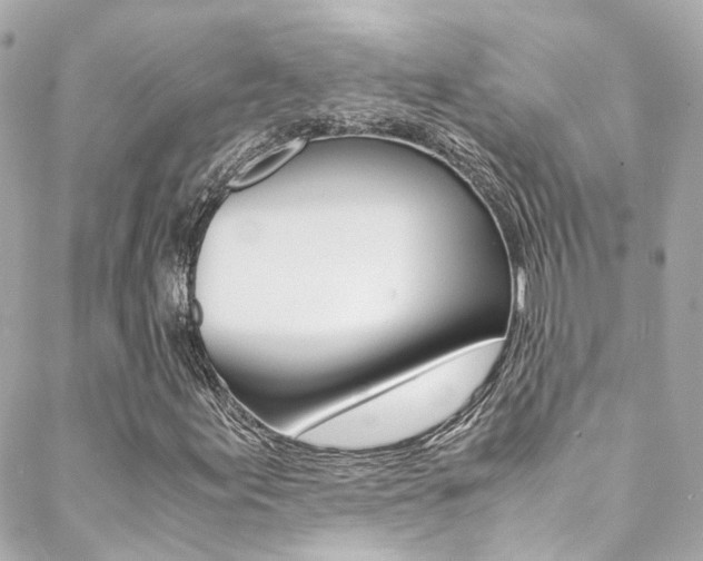 X0000089411155200706150932