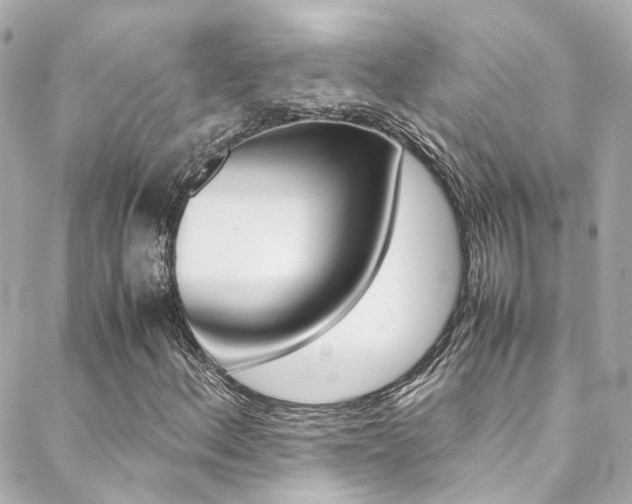 X0000089411156200706150932