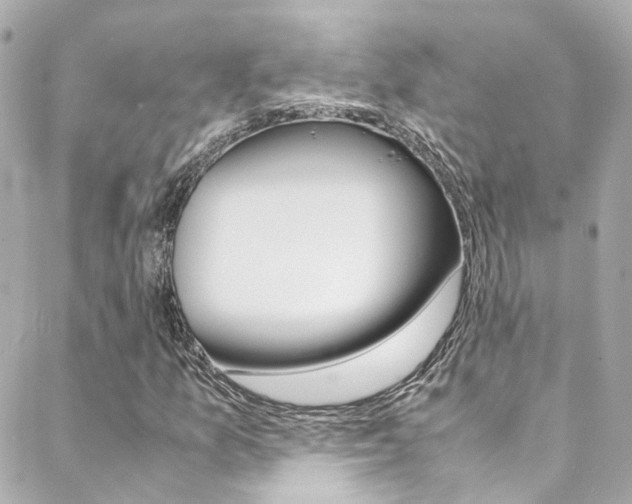 X0000089411157200706150932