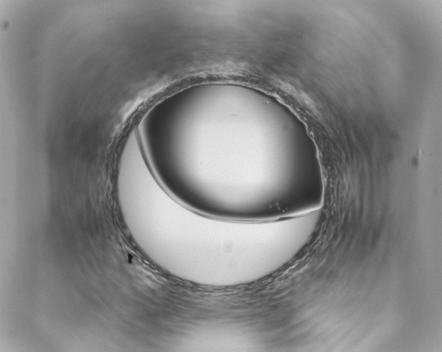 X0000089411160200706150932