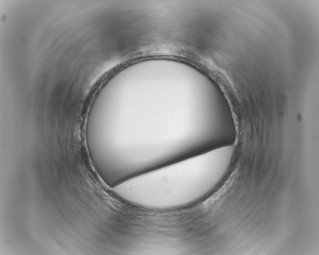 X0000089411166200706150932