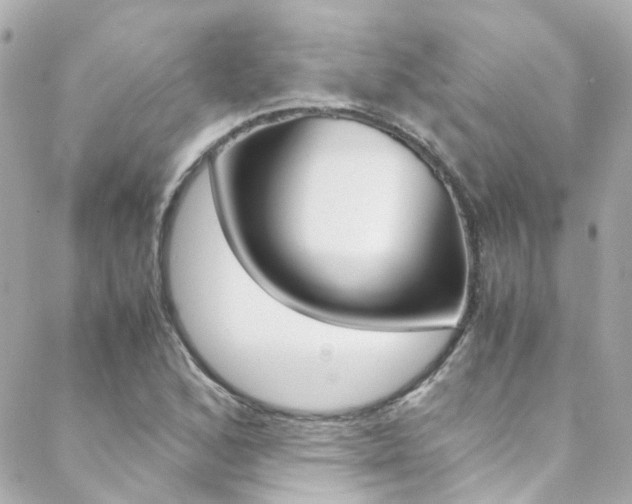 X0000089411168200706150932