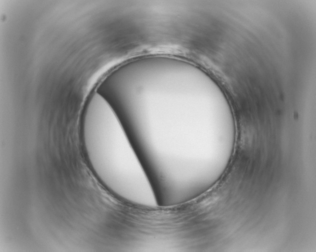 X0000089411174200706150932