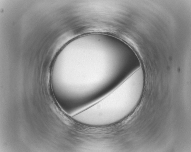 X0000089411179200706150932