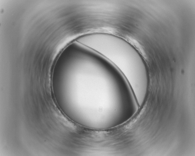 X0000089411184200706150932