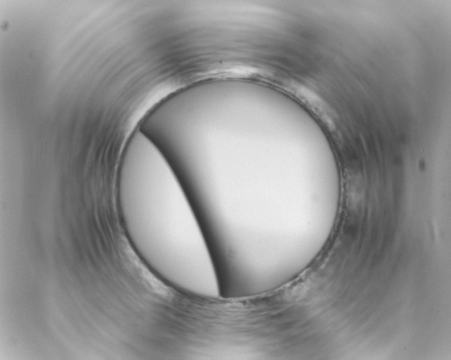 X0000089411186200706150932