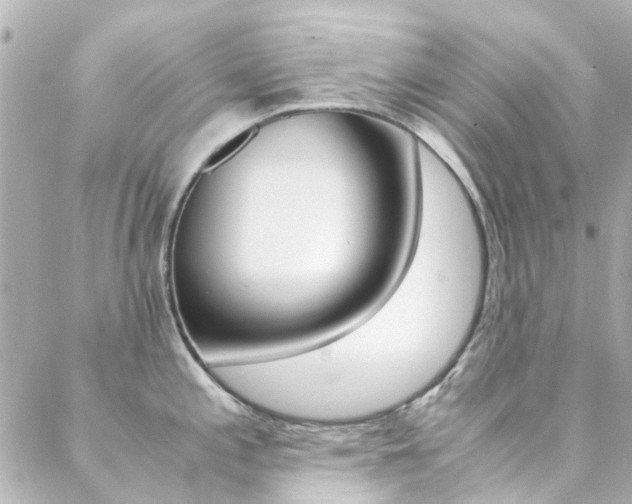 X0000089411197200706150932