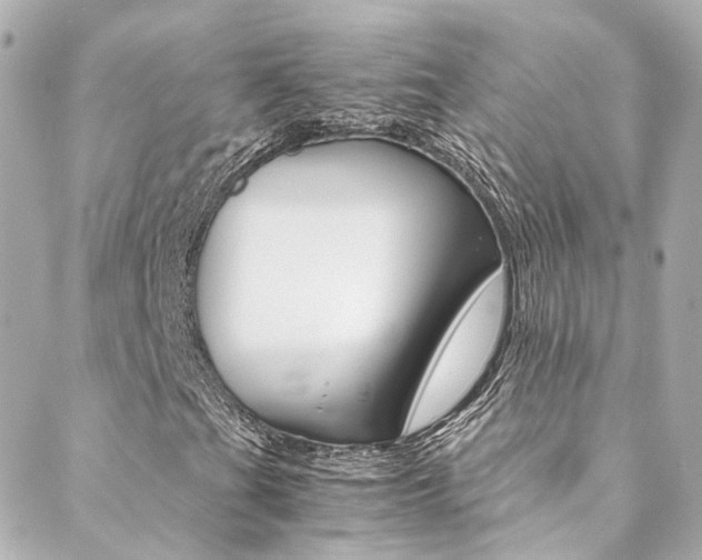 X0000089411201200706150931