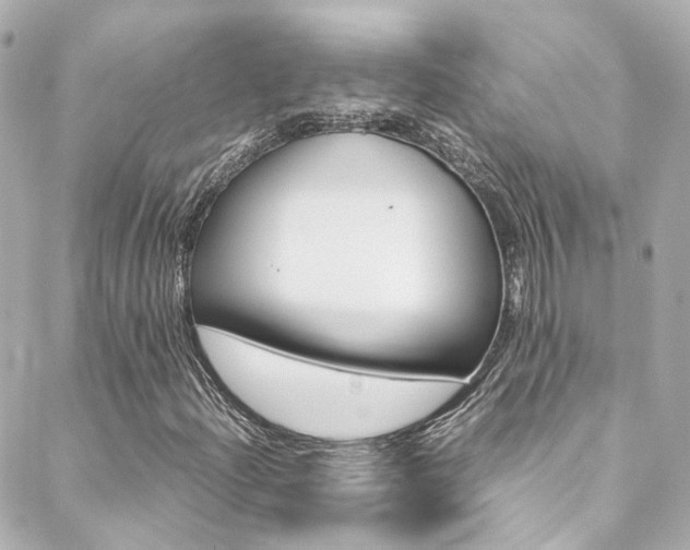 X0000089411204200706150931