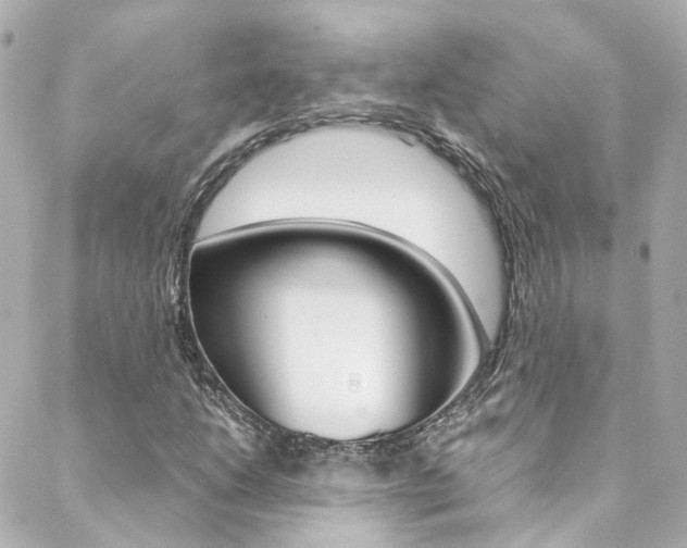 X0000089411206200706150931