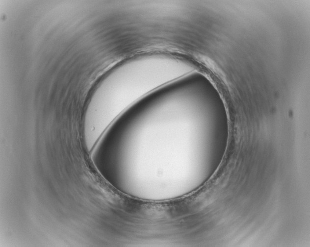 X0000089411217200706150931