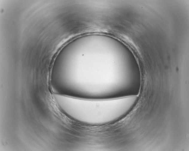 X0000089411220200706150931
